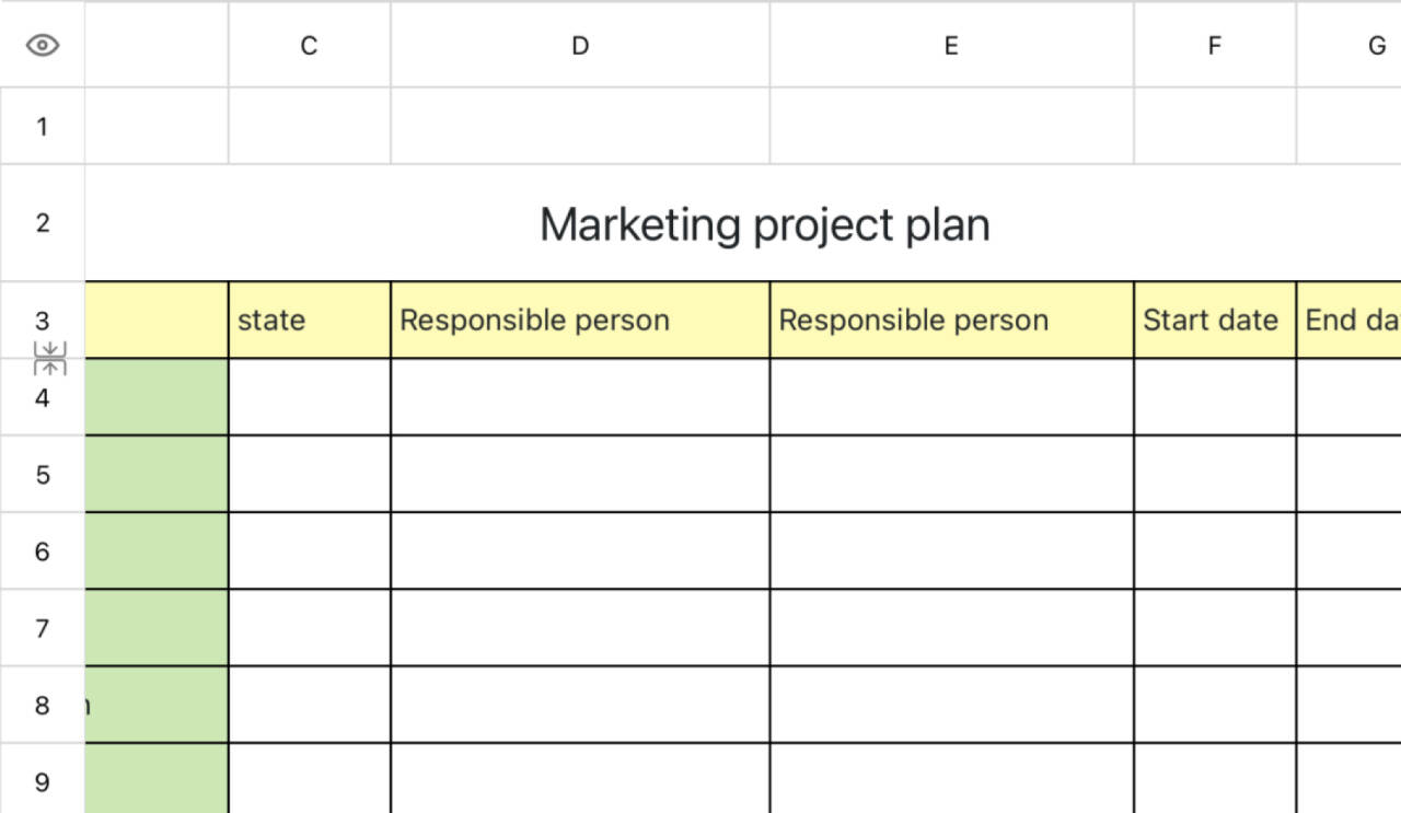 Marketing project plan 1